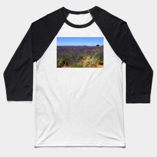 Lavander in Provence Baseball T-Shirt